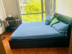 Palm Isles (D17), Condominium #502041491